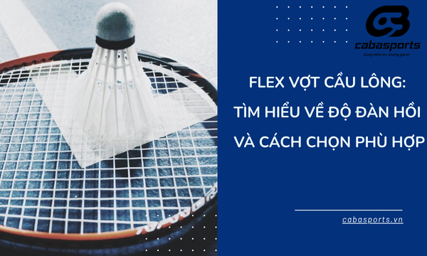Flex Vợt Cầu Lông: Tìm Hiểu Về Độ Đàn Hồi Và Cách Chọn Phù Hợp