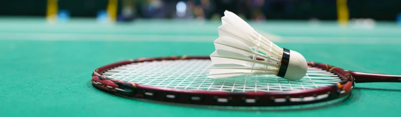 badminton racket maintenance