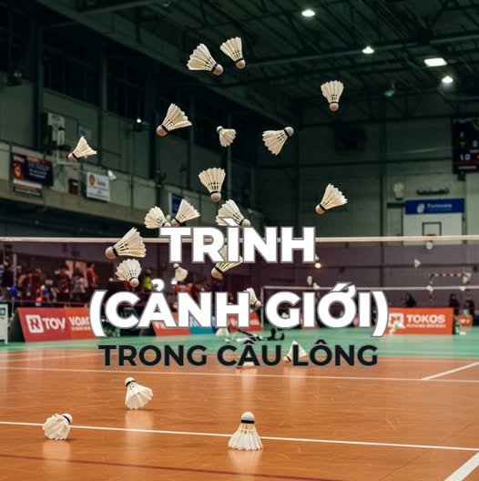 Tranh Luận Về Trình Và Form Đánh Cầu Lông
