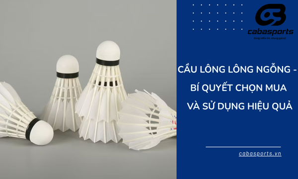 Cầu Lông Lông Ngỗng – Bí Quyết Chọn Mua Và Sử Dụng Hiệu Quả