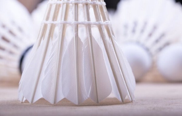 feather shuttlecock detail
