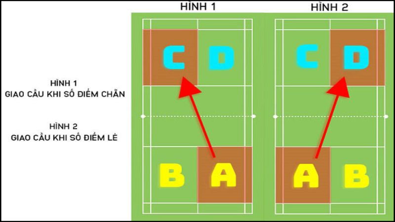 luat phat cau long