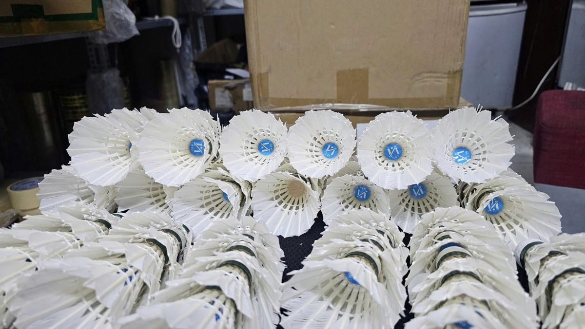 Kinh nghiệm đi đánh vãng lai: Chơi cho vui, ở lại vì thoải mái