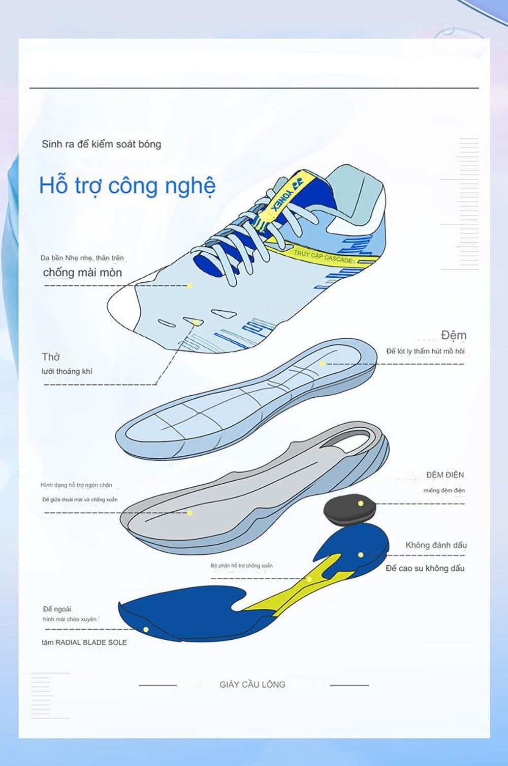 Hướng Dẫn Toàn Diện Cách Chọn Giày Cầu Lông Hoàn Hảo Từ A Đến Z 1 n giay cau long dua vao cau truc giay 9745029cbe75425d854d8ea874d583ed