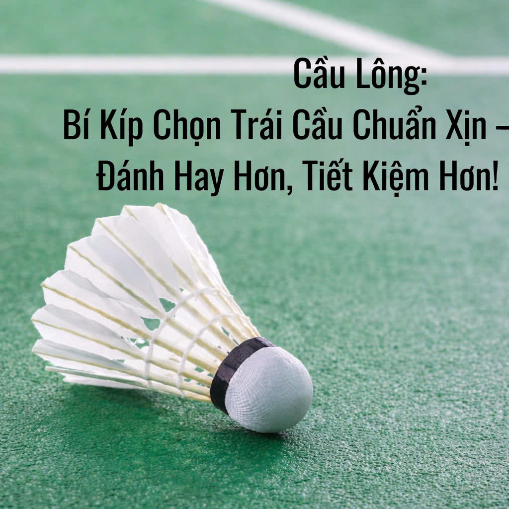 Cầu Lông: Bí Kíp Chọn Trái Cầu Chuẩn Xịn – Đánh Hay Hơn, Tiết Kiệm Hơn!